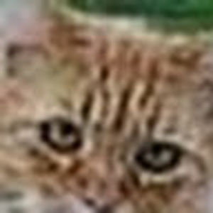 Meet your Posher, Jan